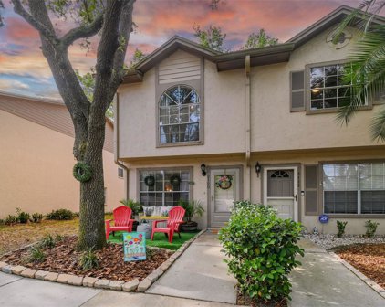 2120 Fletchers Point Circle, Tampa