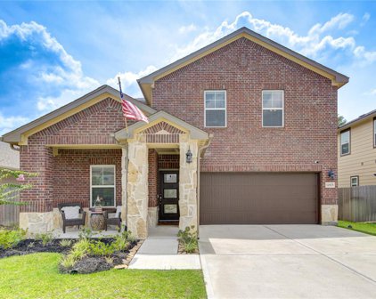 12825 S Winding Pines Drive, Tomball