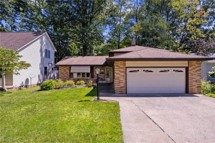 6545 Forest Glen Avenue, Solon