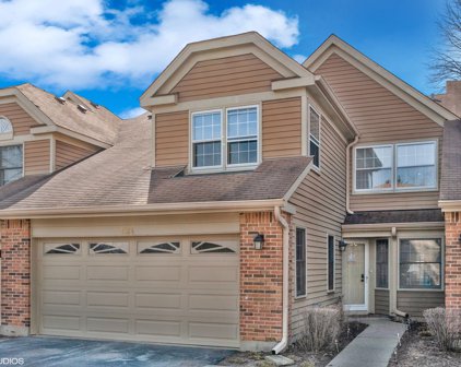 3124 N Daniels Court, Arlington Heights