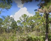 Plumosa Drive, Indian Lake Estates image