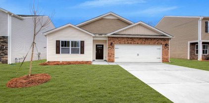 841 Honeybush, Lyman