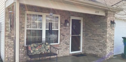 1059 Wild Ivy Trail, Franklin