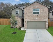 21338 Rachel Manor Drive, Hockley image