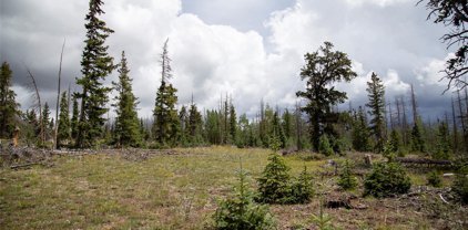 000 Forest Rd 504, Creede