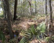 TBD Bayou Oaks  Drive, Alexandria image