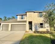 10314 Horseshoe Lake Trail, Conroe image
