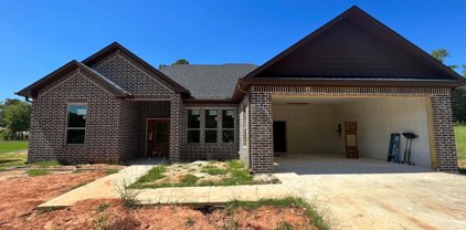 17089 County Road 2282, Troup
