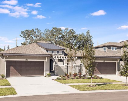 327 Villa Corte Drive, Lutz