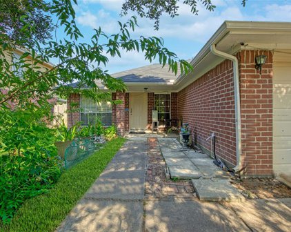 16215 Necoridge Drive, Houston