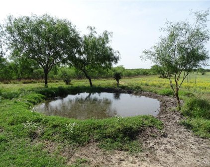 Fm 2294  Highway, San Isidro
