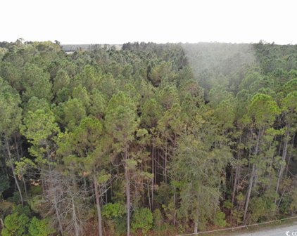 TBD Long Horne Ranch Dr., Loris