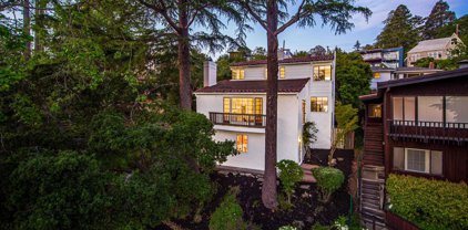 917 Euclid, Berkeley