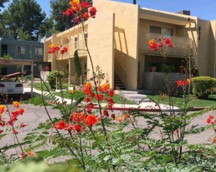 834 S Langley Unit #201, Tucson