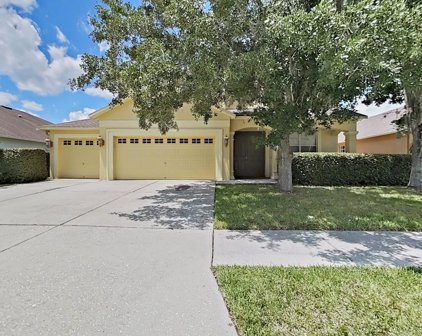 3651 Duke Firth Street, Land O' Lakes