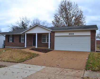 4524 Firelight  Drive, St Louis