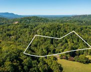 1175 Gnatty Branch Rd, Sevierville image