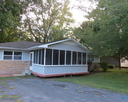 6509 Cannon Avenue, Guntersville