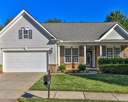 838 Platinum  Drive, Fort Mill