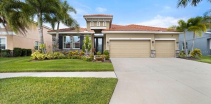 144 Star Shell Drive, Apollo Beach