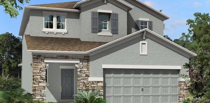 31898 Asbury Avenue, Wesley Chapel