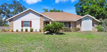 29341 Downy Place, Wesley Chapel