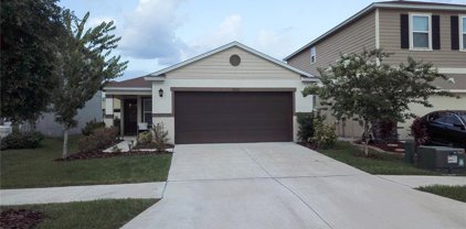 11214 Southern Cross Place, Gibsonton