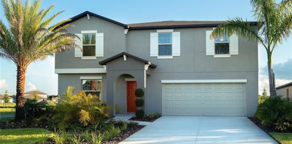 9631 Branching Ship Trace, Wesley Chapel