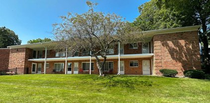 419 Prospect Unit Unit 204, Romeo Vlg