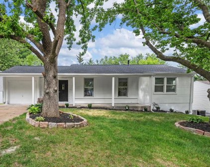 9542 Erie  Drive, St Louis