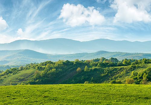 Sparta/Piney Creek Real Estate