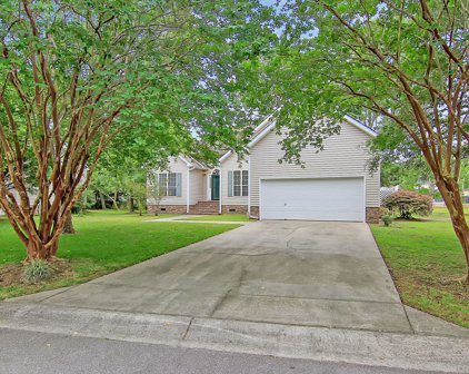 2705 Wild Dogwood Way, Mount Pleasant