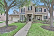 22022 Silver Blueberry Trail, Cypress image