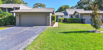 1039 Old Magnolia Cove Dr Unit 18, Apopka