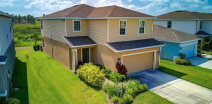 10491 Hawks Landing Drive, Land O' Lakes