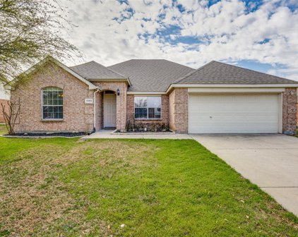 13452 Leather Strap  Drive, Fort Worth