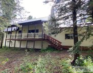 4012 Red Fox Street, Island Park image
