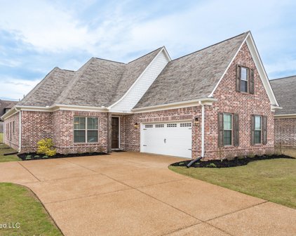 3814 Andreas Drive, Southaven