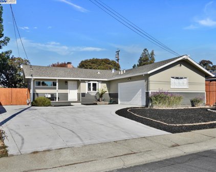 4113 Forestview Ave, Concord