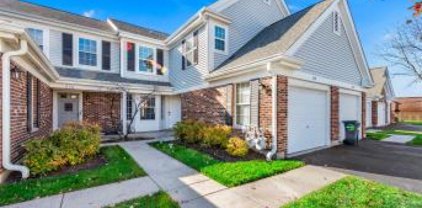 278 Green Knoll Court, Streamwood
