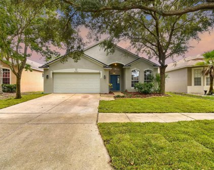 8207 Moccasin Trail Drive, Riverview