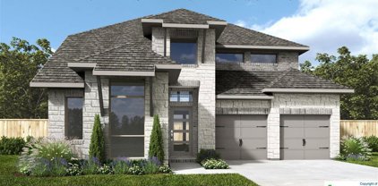 294 Prickly Poppy Loop, Kyle