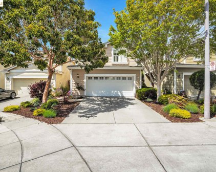 51 Britt Ct, Alameda
