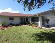 354 Pineview Drive, Venice image