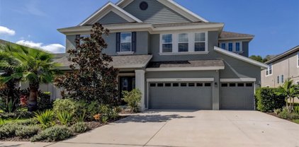 32402 Talimena Loop, Wesley Chapel