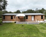 10620 Hunters Trail, Lakeland image