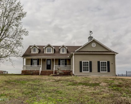 43 Nile River Cove, Lake Cormorant