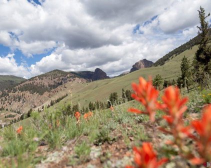 TBD Hwy 149, Creede