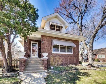 1151 S Euclid Avenue, Oak Park