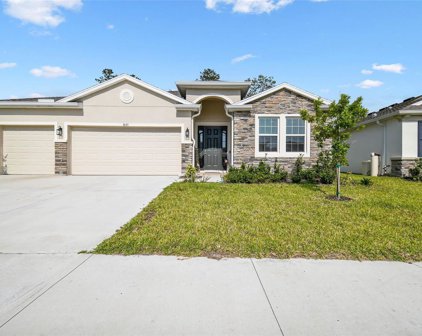 3635 Autumn Amber Drive, Spring Hill
